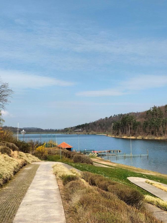 Neues-Ferienhaus-Am-Schoenen-Ferienpark-Twistesee-Naehe-Bad-Arolsen Bad Arolsen Kültér fotó